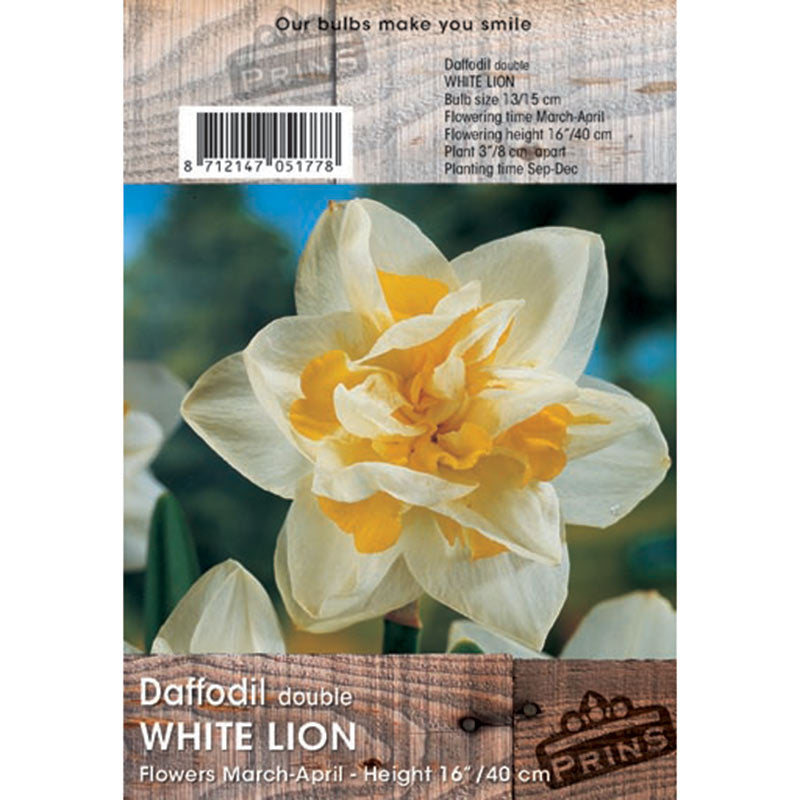 Daffodil White Lion 3kg
