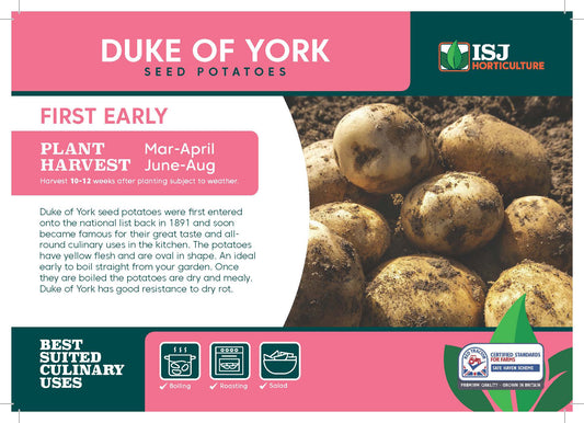 Duke Of York Seed Potatoes 2kg