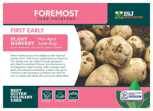 Foremost Seed Potatoes 2kg