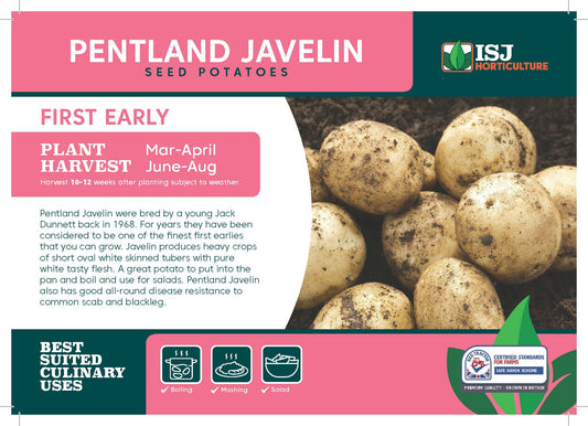 Pentland Javelin Seed Potatoes 2kg