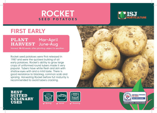 Rocket Seed Potatoes 2kg