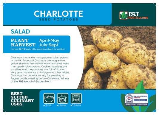 Charlotte Seed Potatoes 2kg