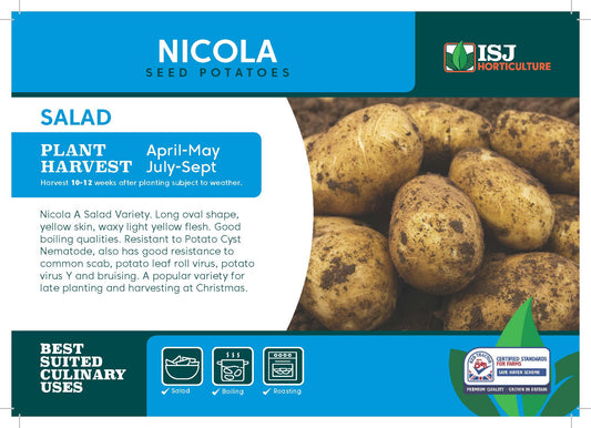 Nicola Seed Potatoes 2kg