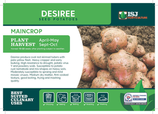 Desiree Seed Potatoes 2kg