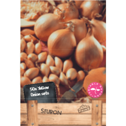 Onion Sets Sturon 50pk