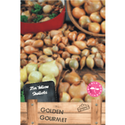 Shallots Yellow Gourmet 25pk