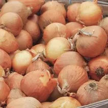 Onion Sets Turbo 50pk