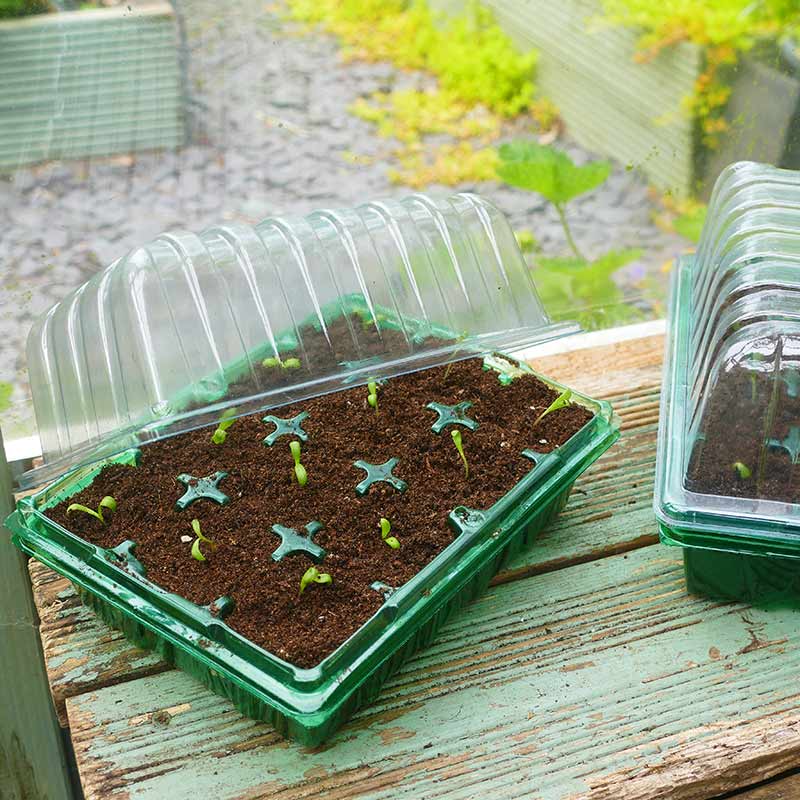 Gro-Sure Visiroot Propagator Twin Set