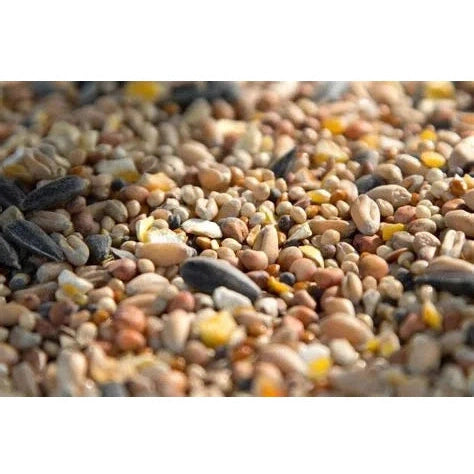 Wild Bird Seed