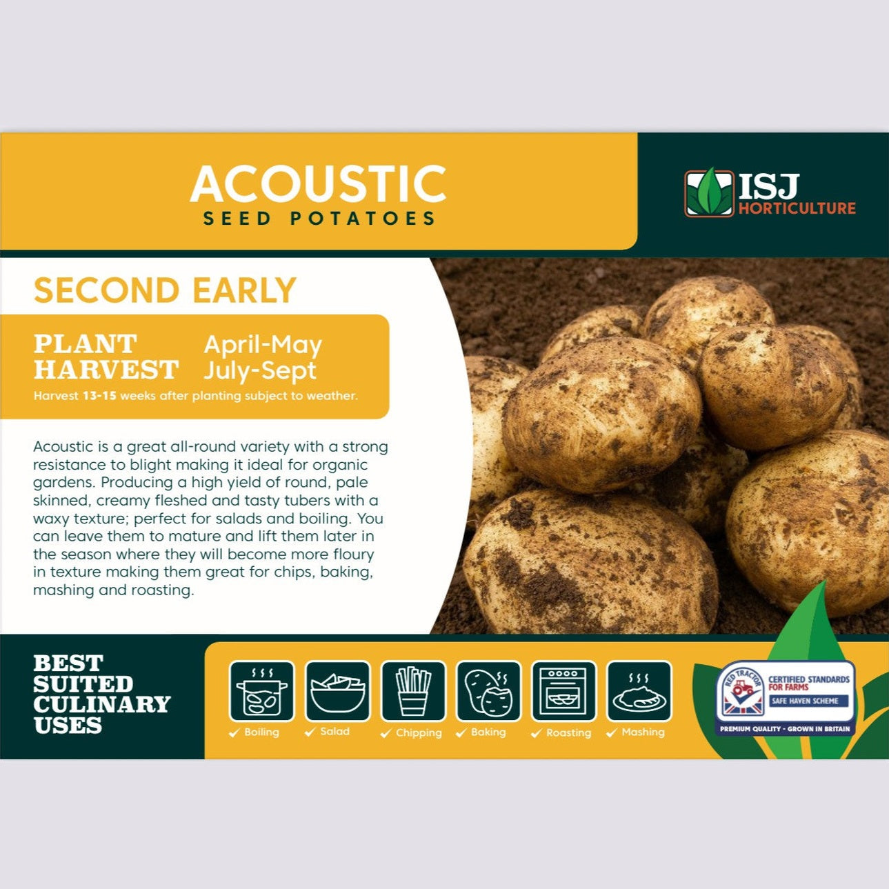 Acoustic Seed Potatoes 2kg