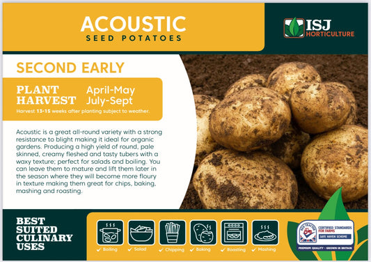 Acoustic Seed Potatoes 2kg