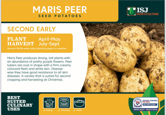 Maris Peer Seed Potatoes 2kg