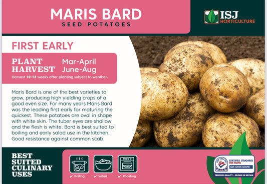 Maris Bard Seed Potatoes 2kg