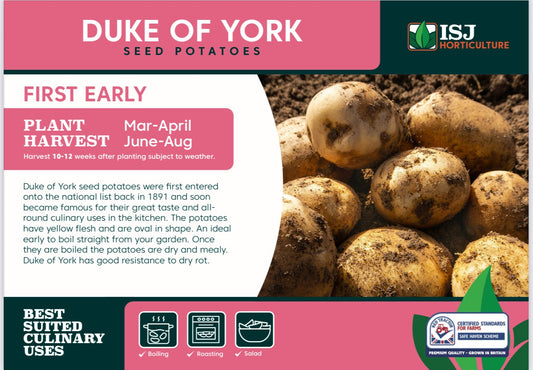 Duke Of York Seed Potatoes 2kg