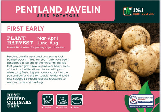 Pentland Javelin Seed Potatoes 2kg