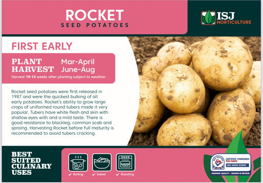 Rocket Seed Potatoes 2kg