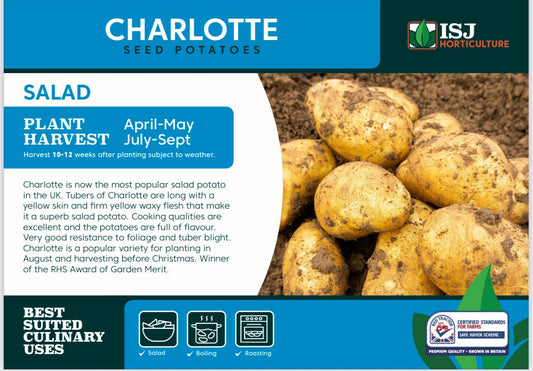Charlotte Seed Potatoes 2kg