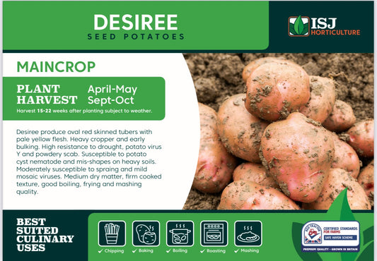 Desiree Seed Potatoes 2kg