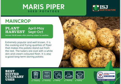 Maris Piper Seed Potatoes 2kg